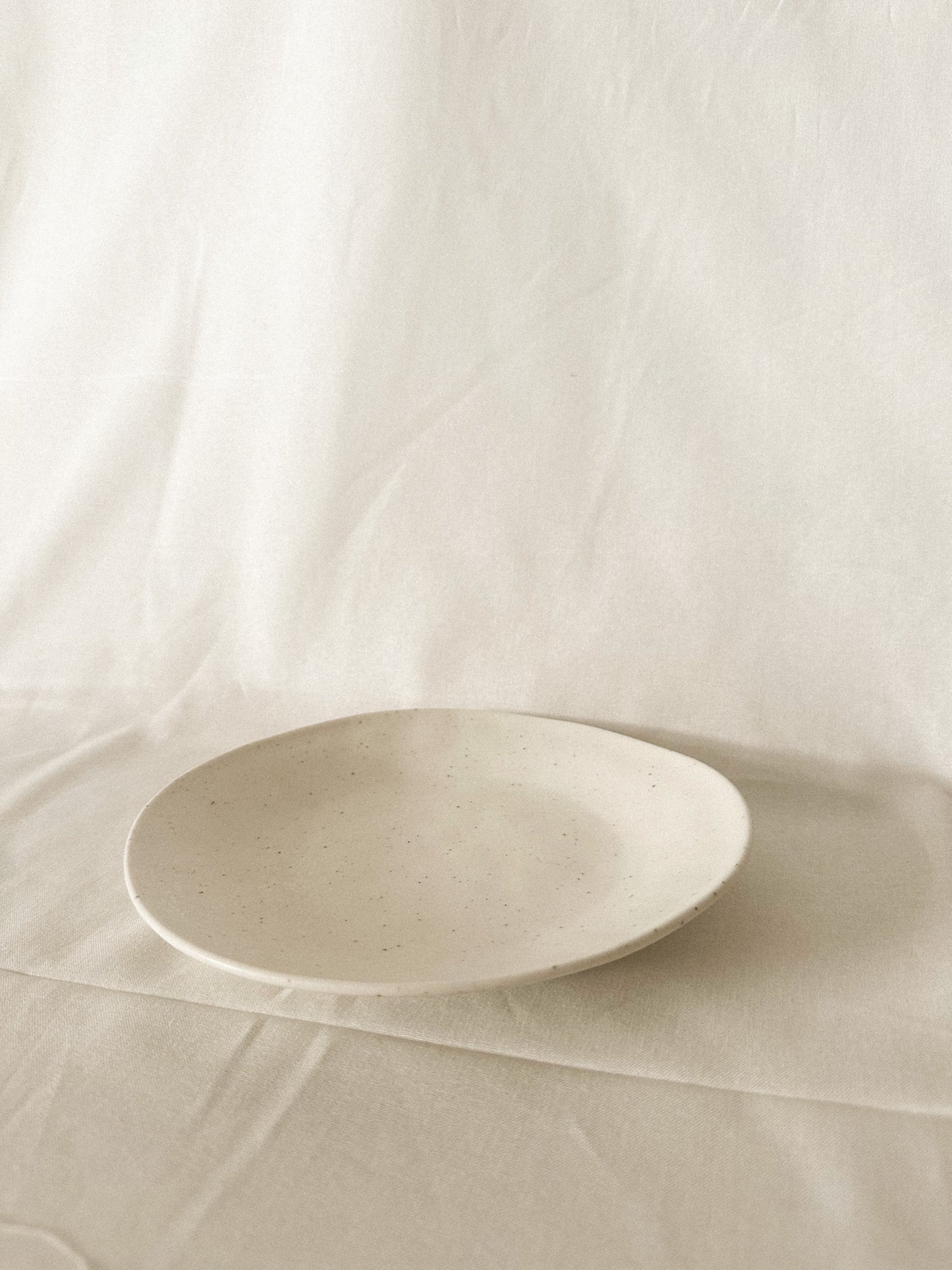 Beth Irregular Plate