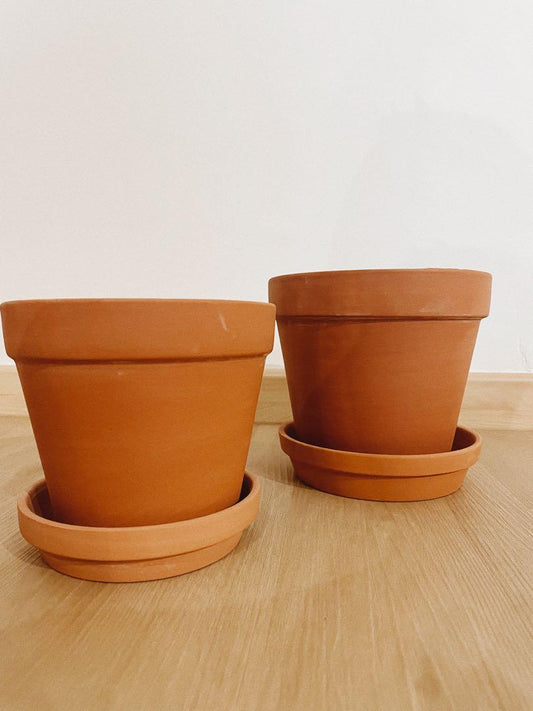 Terracotta Ceramic Pots (S/M)